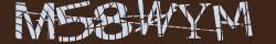 Retype the CAPTCHA code from the image