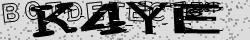 Retype the CAPTCHA code from the image