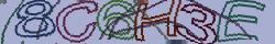 Retype the CAPTCHA code from the image