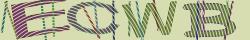 Retype the CAPTCHA code from the image