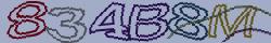 Retype the CAPTCHA code from the image