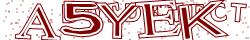 Retype the CAPTCHA code from the image