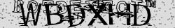 Retype the CAPTCHA code from the image