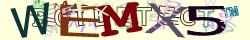 Retype the CAPTCHA code from the image