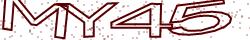 Retype the CAPTCHA code from the image