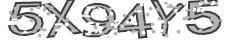 Retype the CAPTCHA code from the image