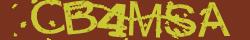Retype the CAPTCHA code from the image