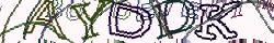 Retype the CAPTCHA code from the image