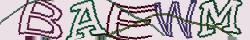 Retype the CAPTCHA code from the image