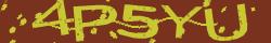 Retype the CAPTCHA code from the image