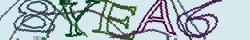Retype the CAPTCHA code from the image