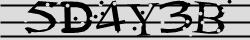 Retype the CAPTCHA code from the image