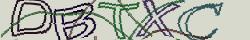 Retype the CAPTCHA code from the image