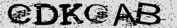 Retype the CAPTCHA code from the image