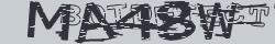 Retype the CAPTCHA code from the image