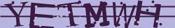 Retype the CAPTCHA code from the image
