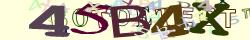 Retype the CAPTCHA code from the image