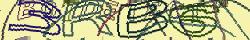 Retype the CAPTCHA code from the image