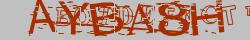 Retype the CAPTCHA code from the image