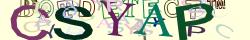Retype the CAPTCHA code from the image