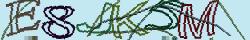 Retype the CAPTCHA code from the image