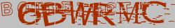 Retype the CAPTCHA code from the image
