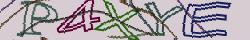 Retype the CAPTCHA code from the image