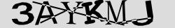 Retype the CAPTCHA code from the image