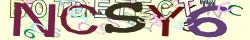 Retype the CAPTCHA code from the image